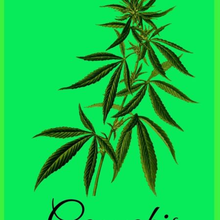 Cannabis: weed lovers gifts - Weed Lover Smoker Friend Stoner Gift Birthday